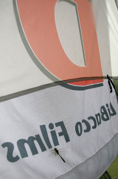 IMG_3251